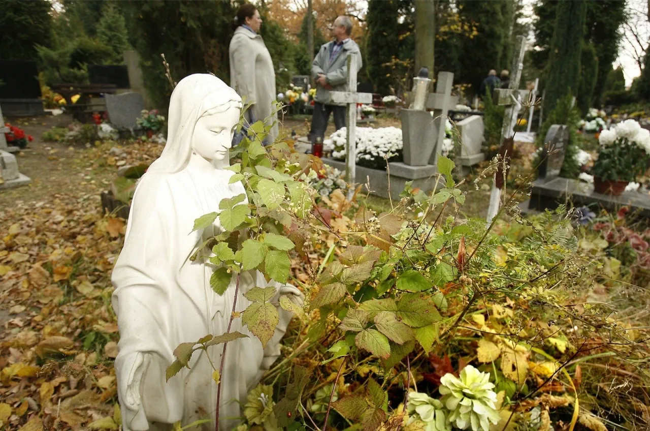 Jak dojechać na cmentarz osobowicki we Wrocławiu bez stresu?
