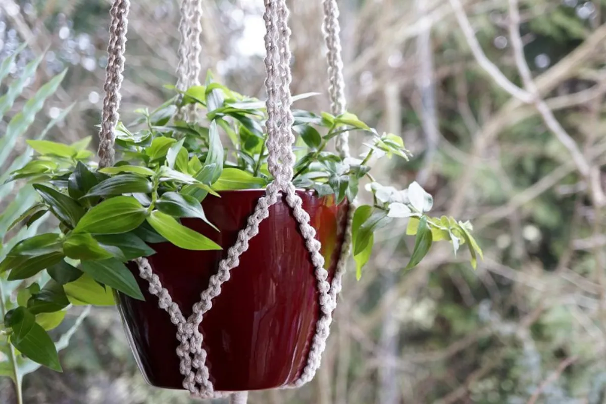 Jak stworzyć makramę kwietnik DIY: proste instrukcje dla początkujących