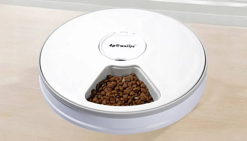 Jak zrobić dozownik suchej karmy dla psa - proste i zaawansowane pomysły