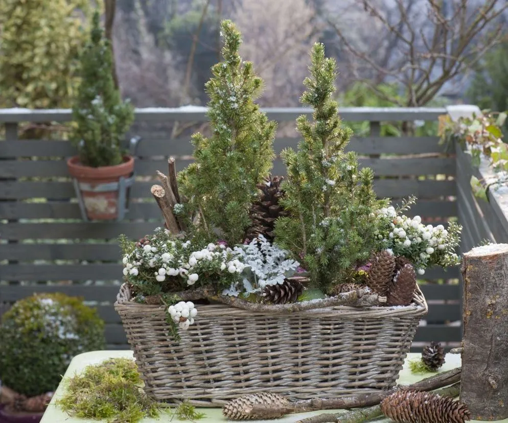Jak zrobić ozdoby świąteczne do ogrodu z naturalnych materiałów