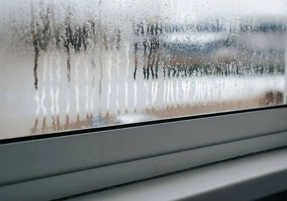 Dlaczego jest wilgoć na oknach i jak skutecznie ją usunąć