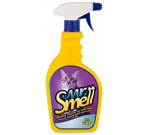 Zapachy, które skutecznie odpędzą natrętne koty z twojego ogrodu