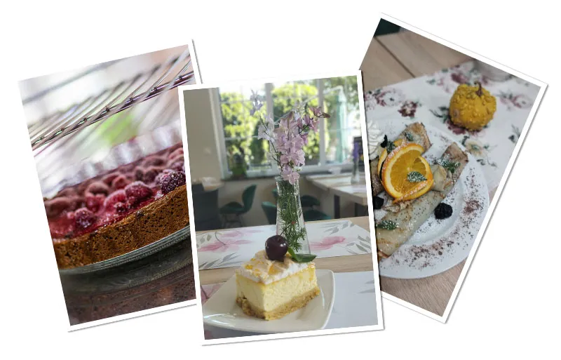 Mikoszewo gdzie zjeść - najlepsze miejsca na smaczne posiłki