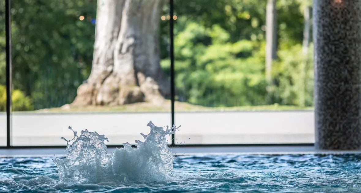Najlepsze spa w Bydgoszczy - relaks i wyjątkowe usługi wellness