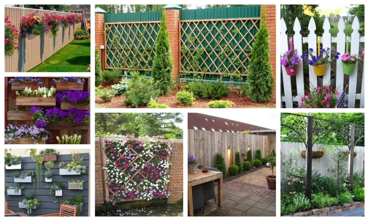 Jak ozdobić ścianę w ogrodzie: 10 kreatywnych pomysłów i porad