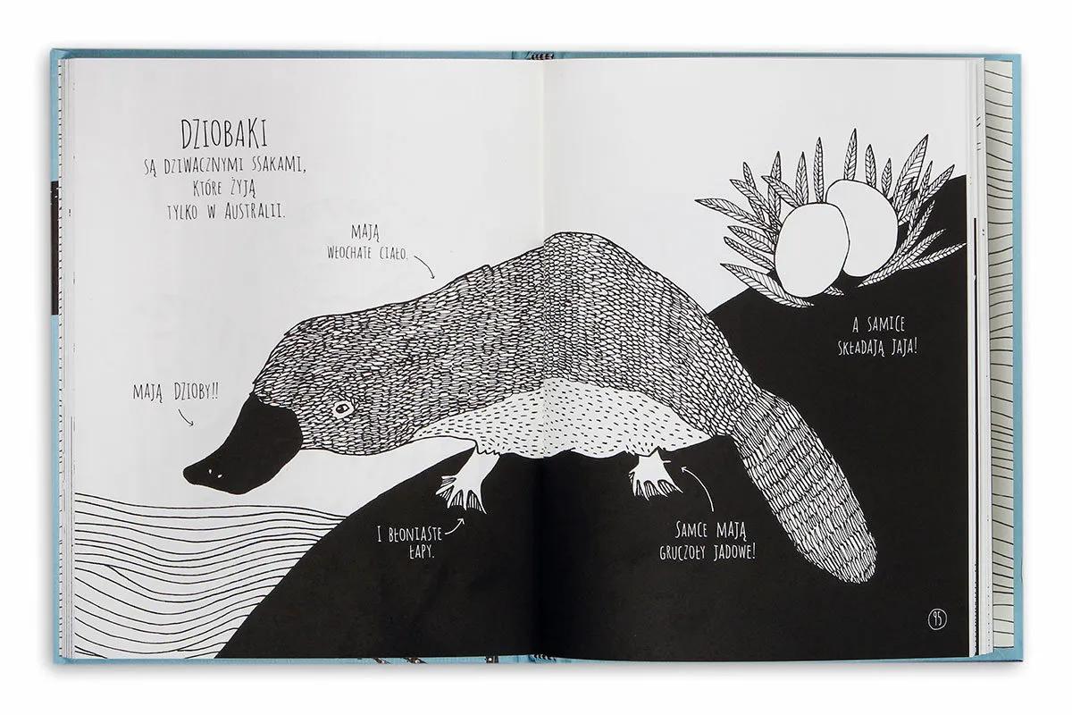 Niesamowite zwierzęta i jak je znaleźć – obsada, fabuła i ciekawostki