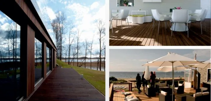 Modrzew czy sosna na taras - wybierz najlepsze drewno dla siebie