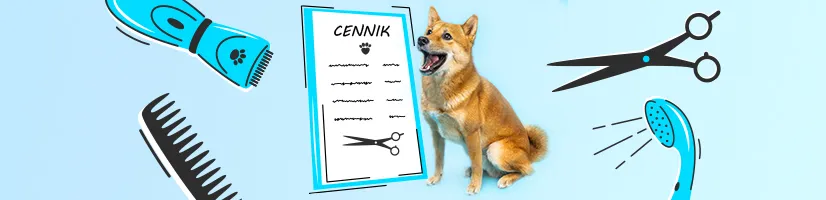 Ile kosztuje kąpiel psa w salonie? Zaskakujące ceny i porady Ile kosztuje kąpiel psa w salonie? Zaskakujące ceny i porady