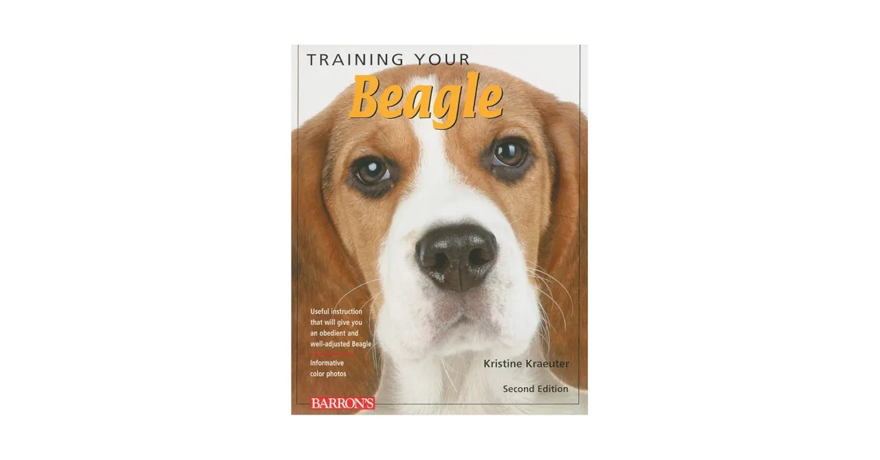 Tresura beagle'a: Skuteczny poradnik krok po kroku. Koniec z ucieczkami!