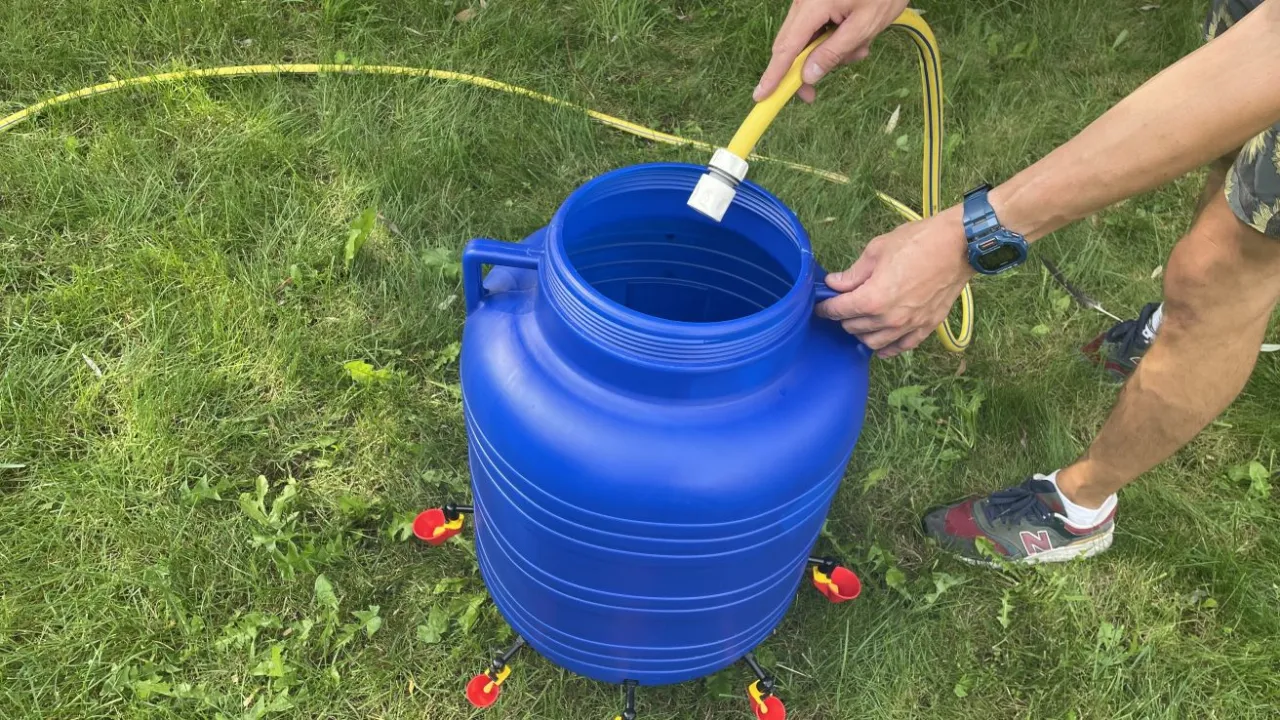 Jak zrobić poidło dla kur z butelki, aby uniknąć zanieczyszczeń?