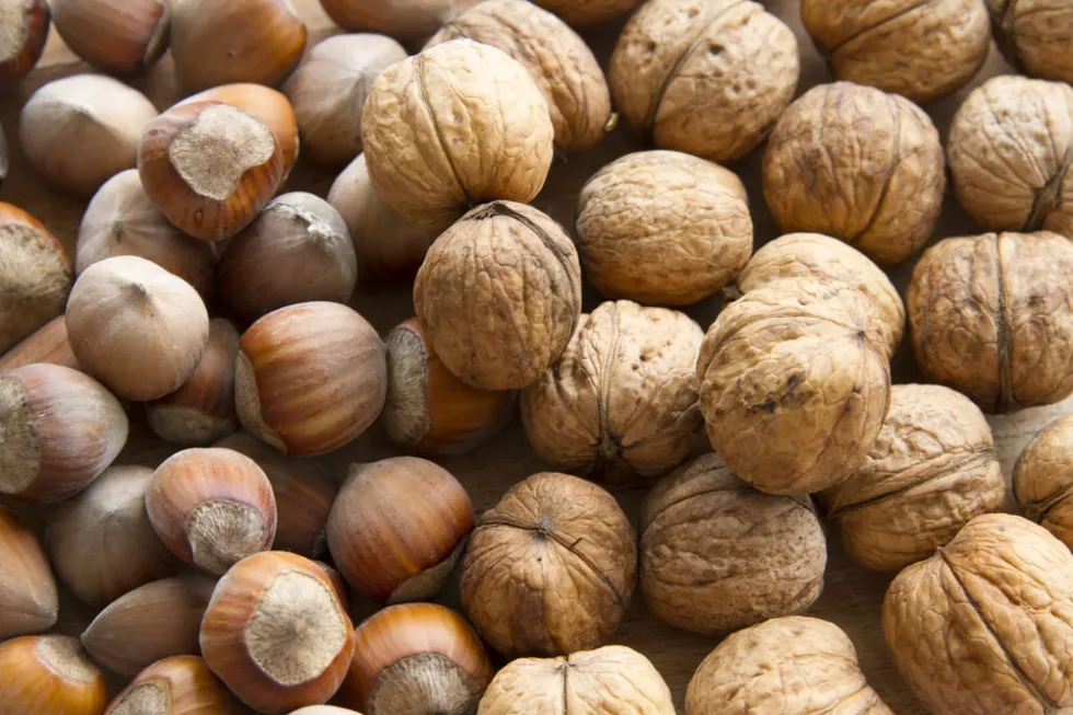 Po ile orzechy włoskie na skupie? Ceny, które zaskoczą sprzedających