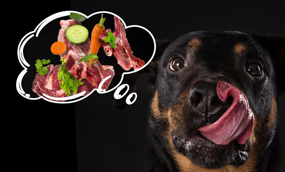 Surowe czy gotowane mięso dla psa? Wybierz mądrze dla zdrowia pupila