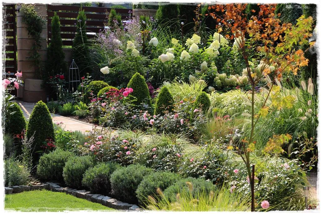 Co posadzić przy chodniku do domu, aby stworzyć piękną przestrzeń?