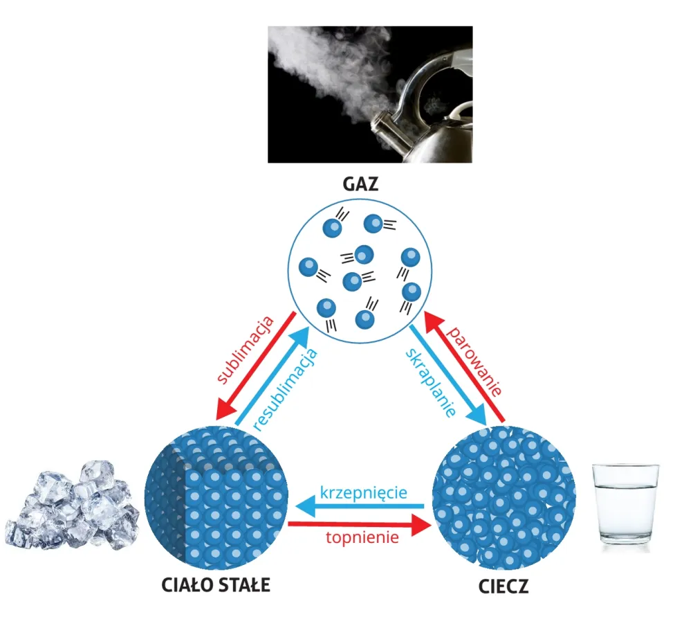 Przemiany fazowe wody: od lodu do pary wodnej - kompendium