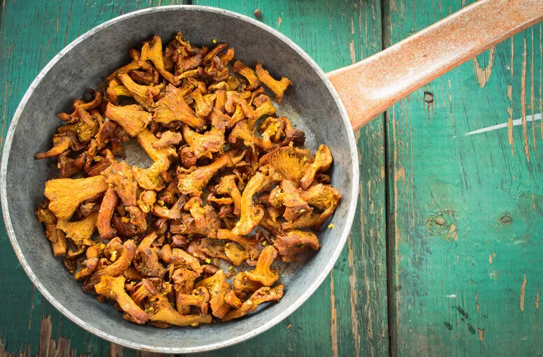 Jak przygotować kurki do mrożenia, by zachować ich smak i jakość