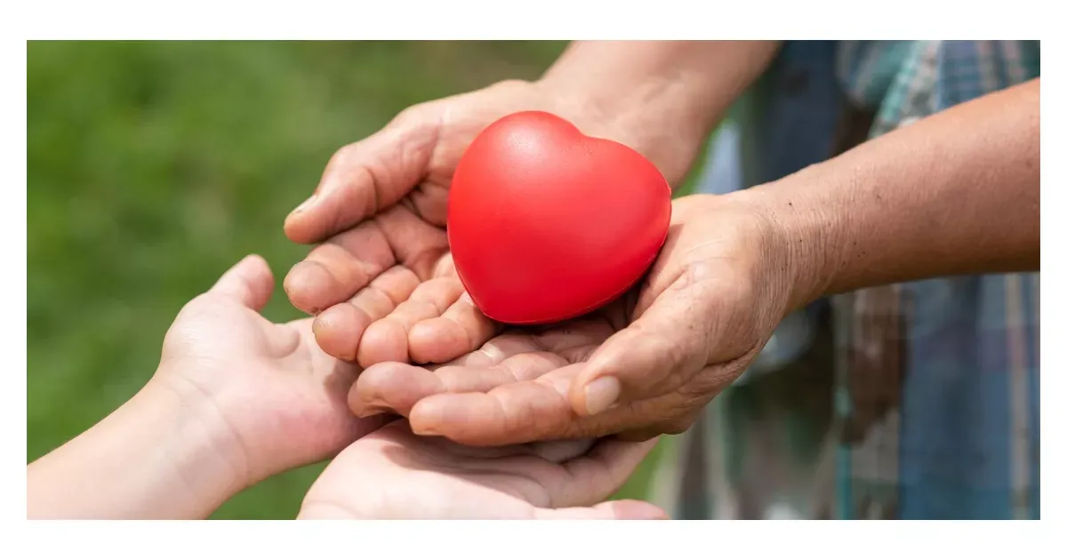 Ankieta przed oddaniem krwi: wszystkie pytania i wymogi dla krwiodawców