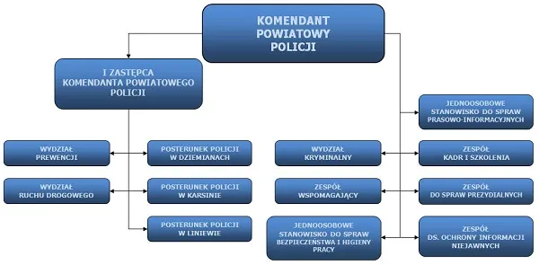 Poznaj komu podlega policja w Polsce - oficjalna struktura zarządzania