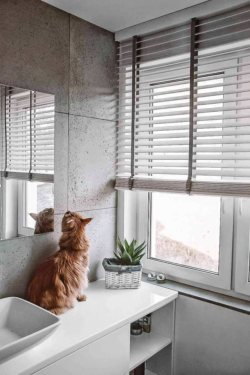 Praktyczne sposoby, czym zasłonić okno w łazience dla większej prywatności