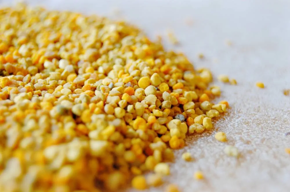 Jak zażywać pyłek pszczeli, aby maksymalnie wykorzystać jego właściwości