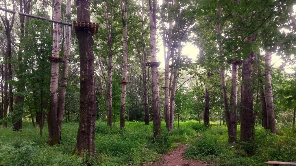 Park linowy Stary Sącz - poznaj trasy i emocje w Lemurze