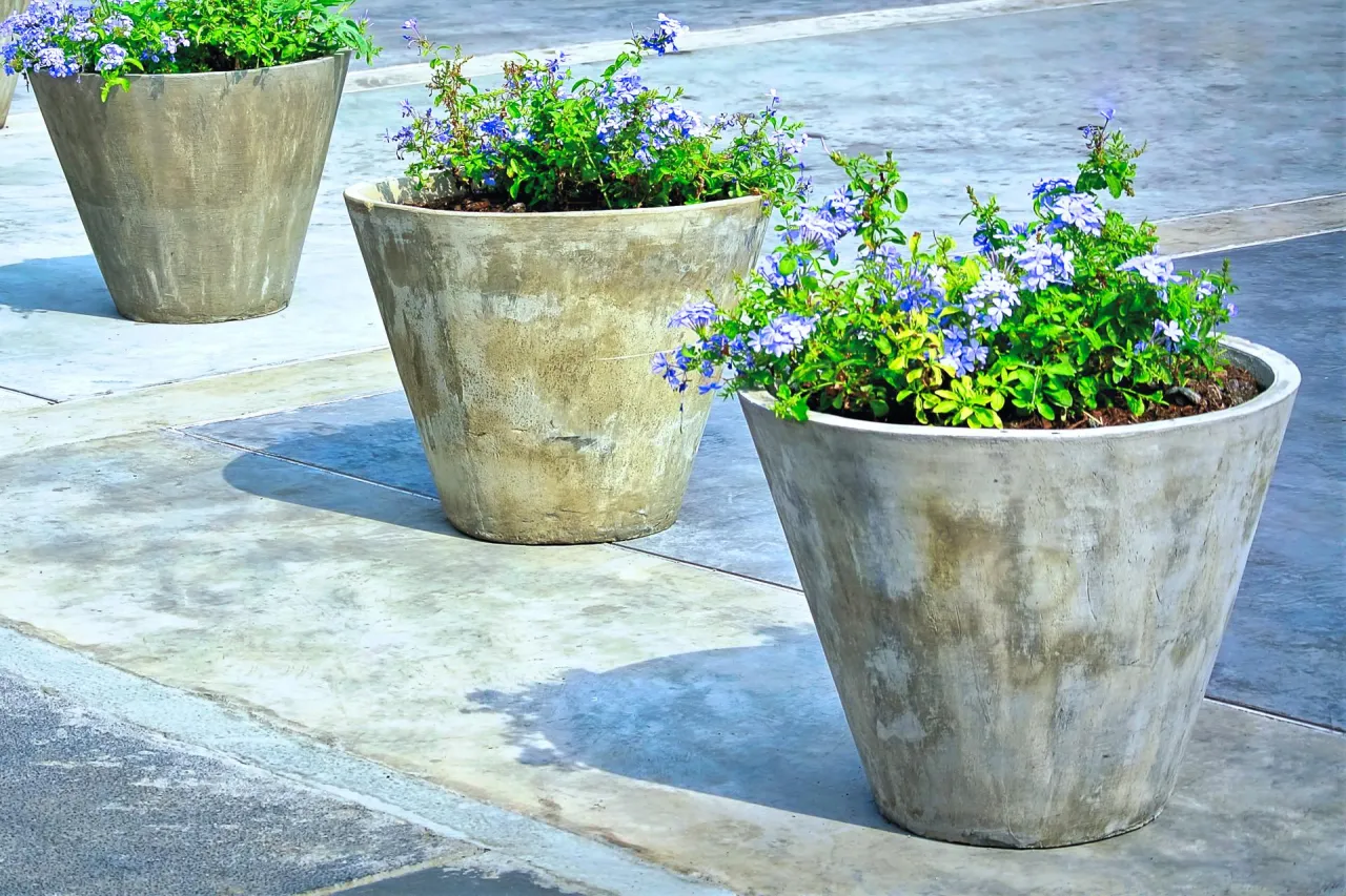 Mega trwała duża donica betonowa krok po kroku. Uniknij kosztownych błędów!