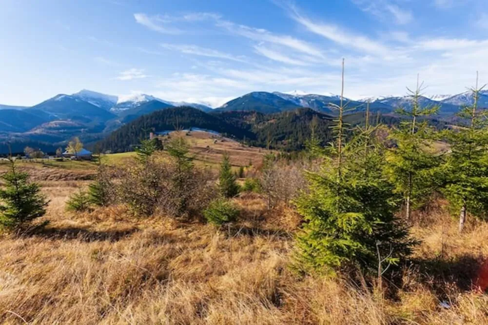 Najlepsze atrakcje w Górach Złotych, które musisz zobaczyć
