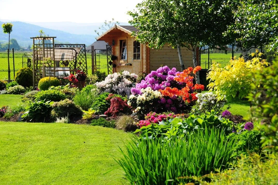 Jakie byliny do ogrodu wybrać, aby cieszyć się kolorami przez cały sezon