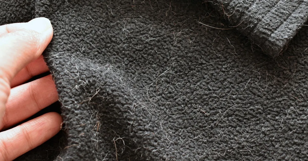 Skuteczne sposoby na pozbycie się sierści z prania bez wysiłku Skuteczne sposoby na pozbycie się sierści z prania bez wysiłku