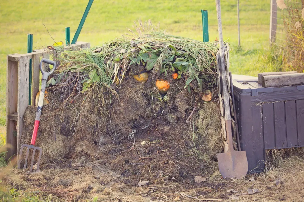 Jak prawidłowo wygląda kompost i po czym poznać jego dojrzałość