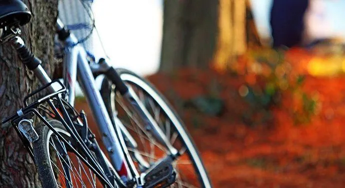 Jaki rower wybrać, aby uniknąć błędów przy zakupie?