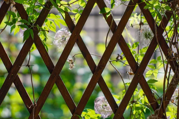Jak zrobić kratkę ogrodową na róże lub inne pnącza?