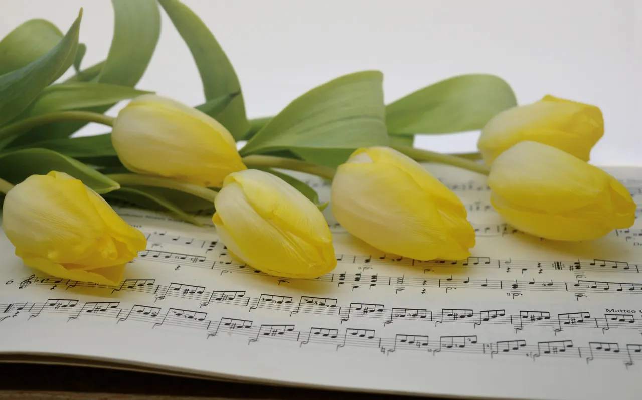 Wiosna w muzyce klasycznej: najpiękniejsze utwory pełne emocji