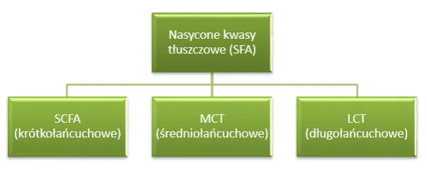 9 korzyści z krótkołańcuchowych kwasów tłuszczowych dla zdrowia