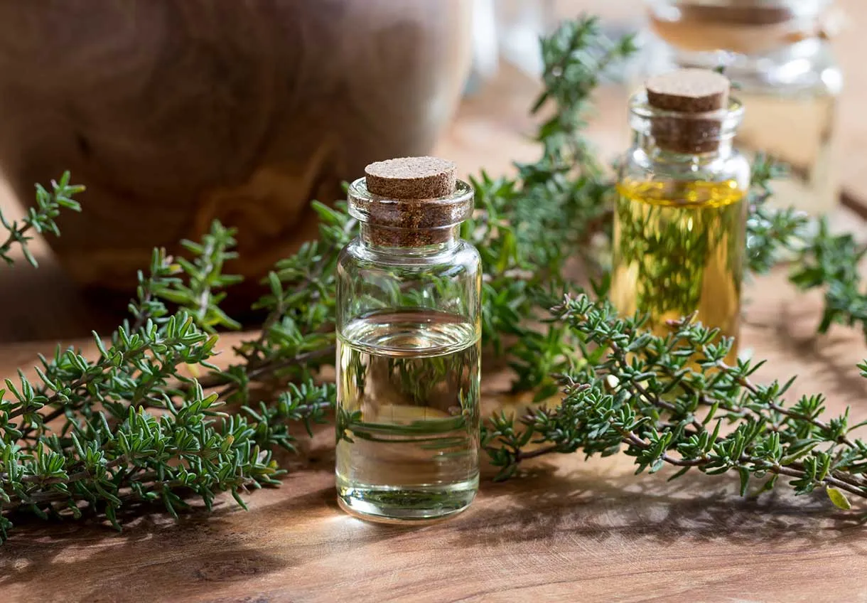 Jak zrobić olejek tymiankowy w domu – prosty przepis i korzyści dla zdrowia