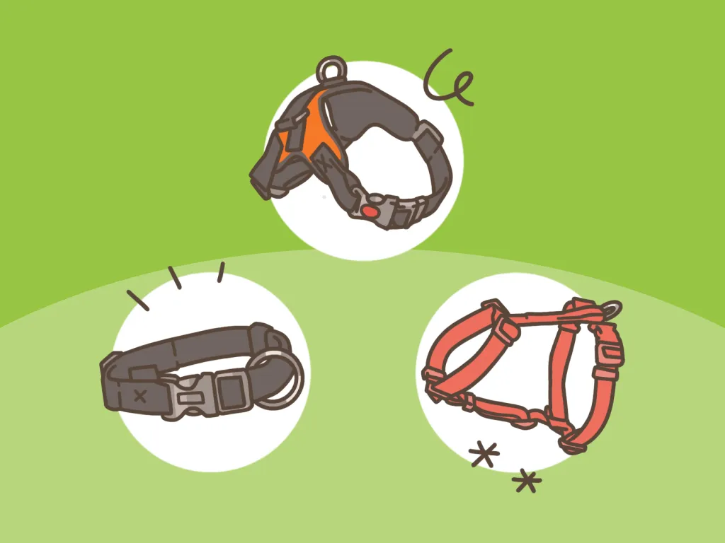 Obroża czy szelki dla szczeniaka – co wybrać, aby zapewnić bezpieczeństwo?