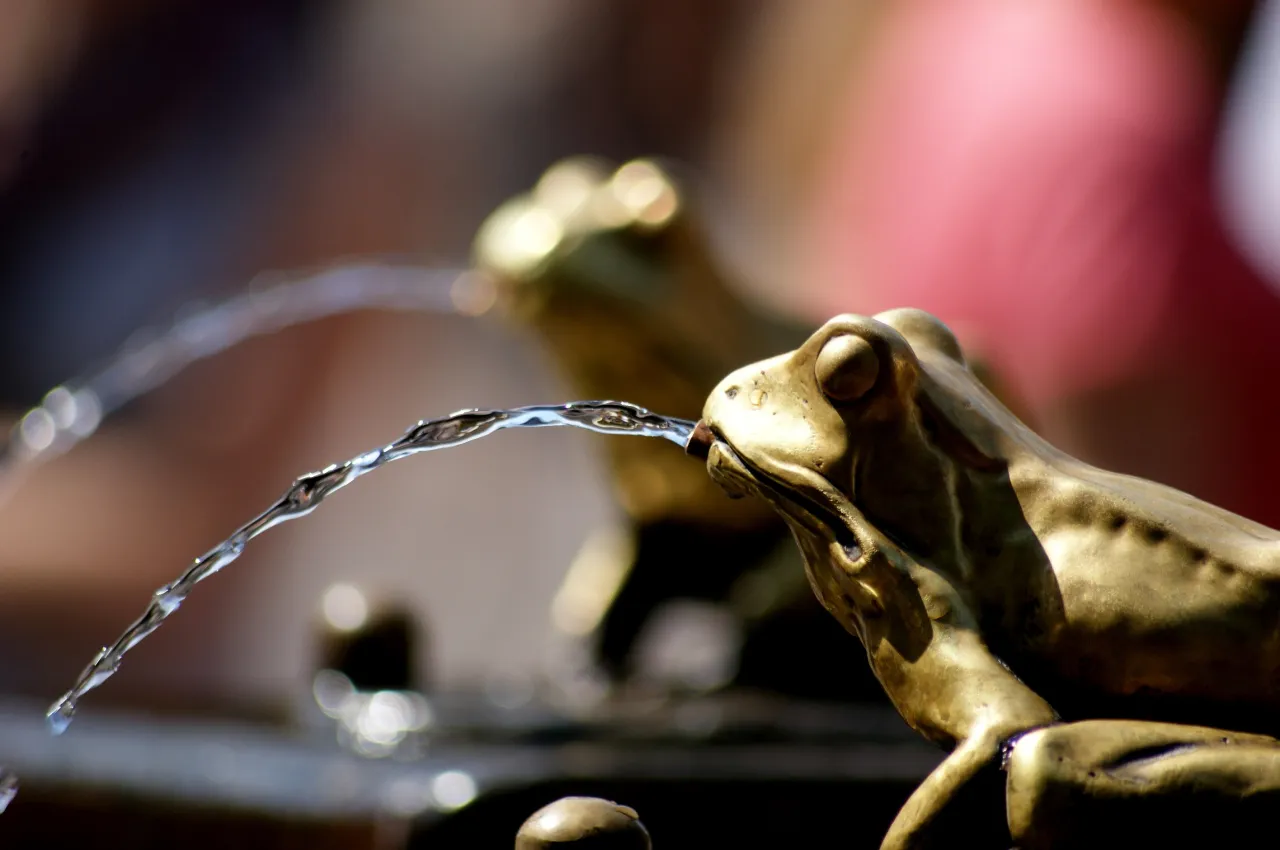 Jak mistrzowsko fotografować detale: 7 skutecznych technik