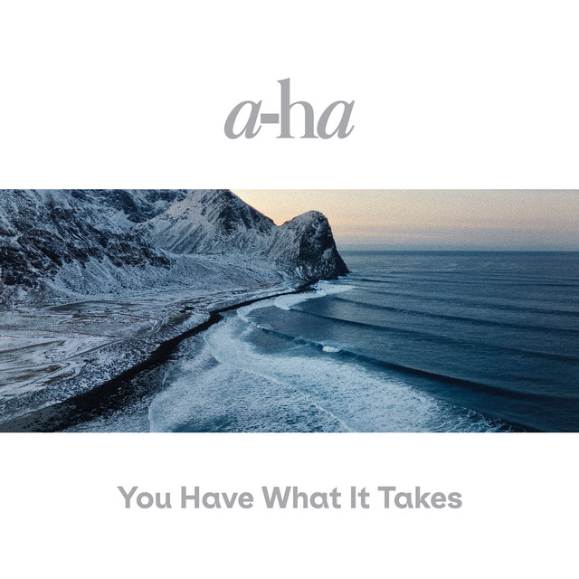 You Have What It Takes • Cały album • Wszystkie utwory • Wykonawca