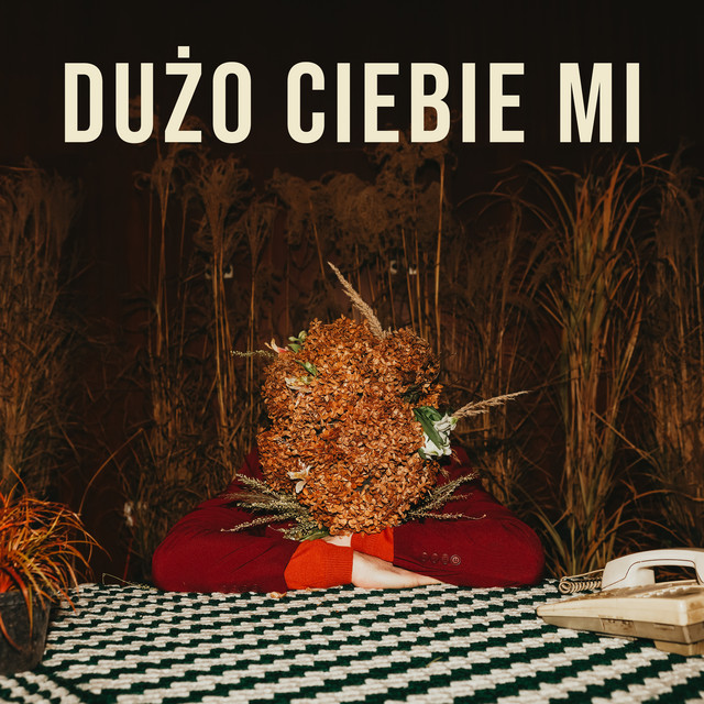 Dużo Ciebie Mi • Cały album • Wszystkie utwory • Wykonawca