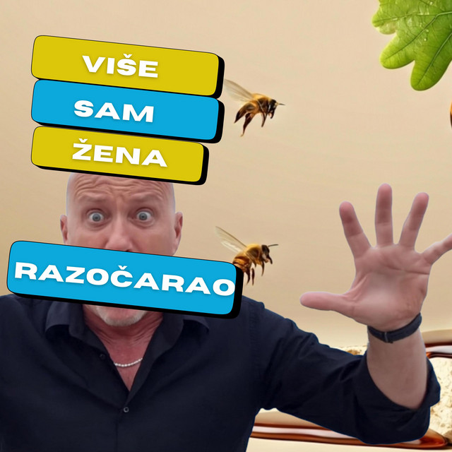 VIŠE SAM ŽENA RAZOČARAO • Cały album • Wszystkie utwory • Wykonawca