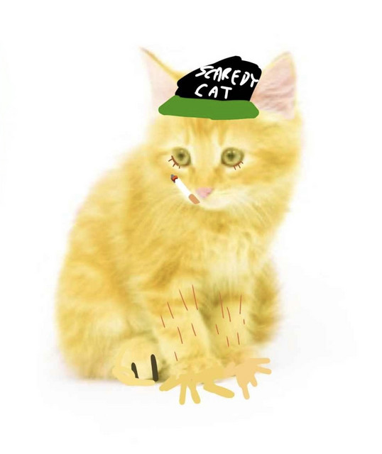 WifiSkeleton • Albumy • Piosenki • Życiorys