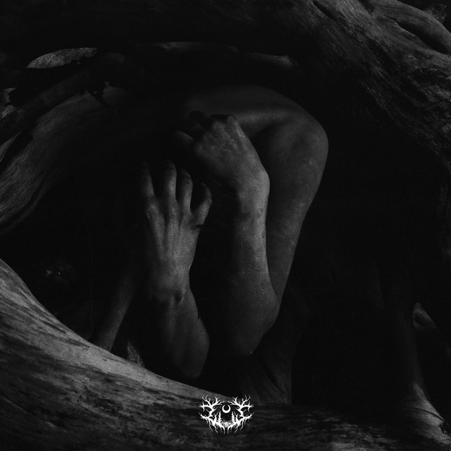 Cursed to Die • Cały album • Wszystkie utwory • Wykonawca