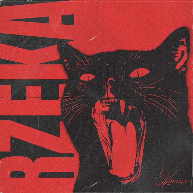 Rzeka • Cały album • Wszystkie utwory • Wykonawca