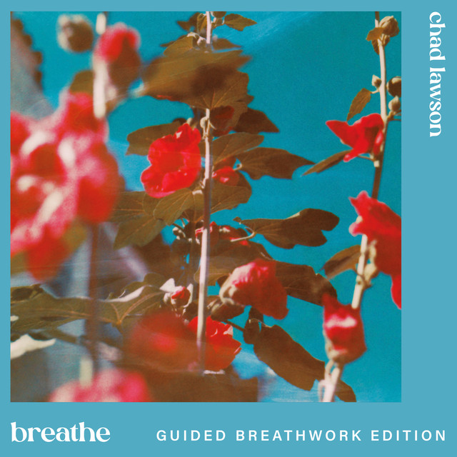 breathe (guided breathwork edition) • Cały album • Wszystkie utwory • Wykonawca