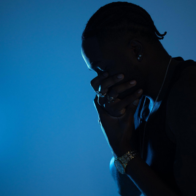 Selfish Nightmares 2 • Cały album • Wszystkie utwory • Wykonawca