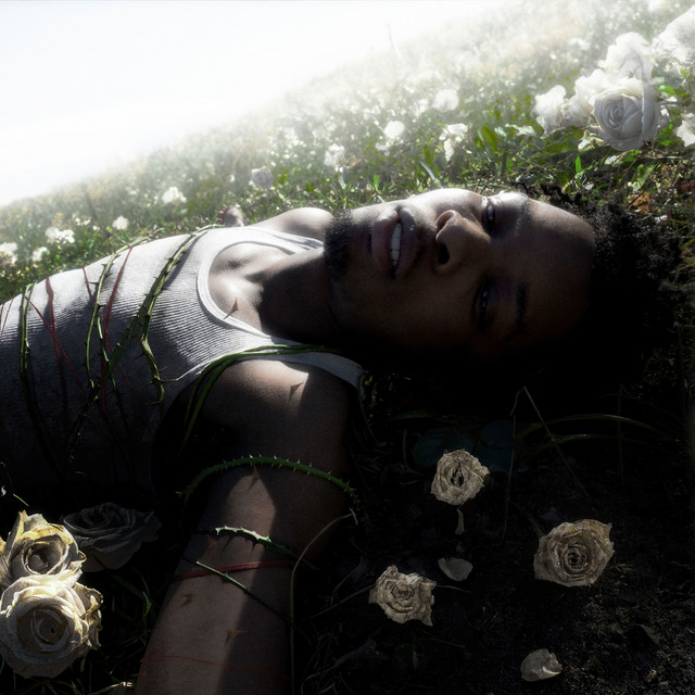 D4vd • Albumy • Piosenki • Życiorys