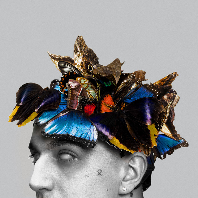 PUŁAPKA NA MOTYLE (DELUXE EDITION) • Cały album • Wszystkie utwory • Wykonawca