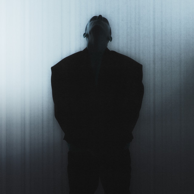 pls help me • Cały album • Wszystkie utwory • Wykonawca