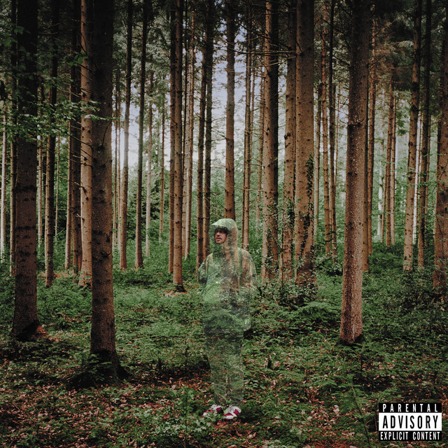 Something To Hide • Cały album • Wszystkie utwory • Wykonawca