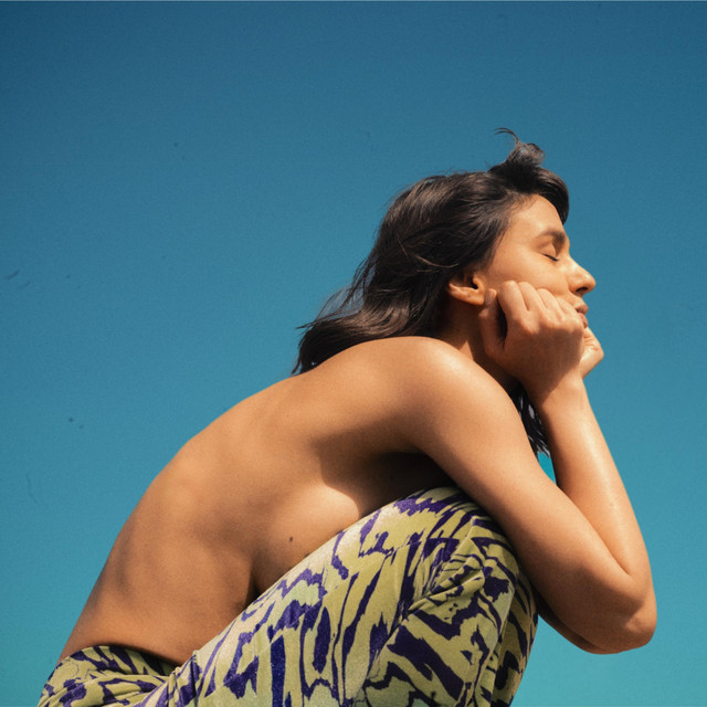 Pantera • Cały album • Wszystkie utwory • Wykonawca