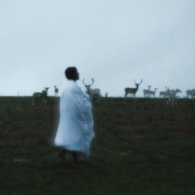 Taki jak Ty • Cały album • Wszystkie utwory • Wykonawca